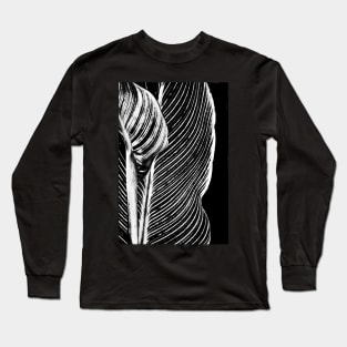 Leaf Design Long Sleeve T-Shirt